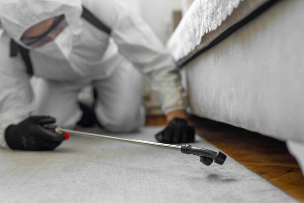 Professional Bed Bug Control technician working in Kinsley, KS