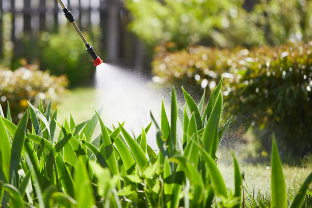 24/7 Emergency Bed Bug Control experts in Kinsley, KS