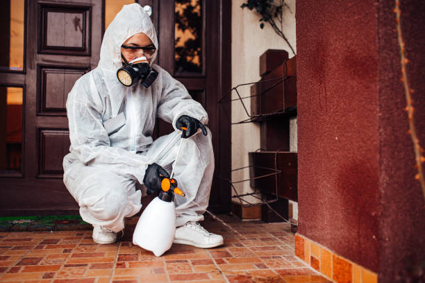 Reliable Bed Bug Control contractor in Kinsley, KS by Nex Pest Control